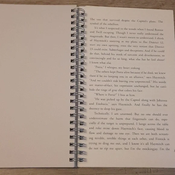 Secret Journal "Catching Fire" - Picture 4 of 6